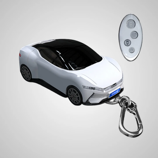 BGK Compatible con BYD (BYD-1)
