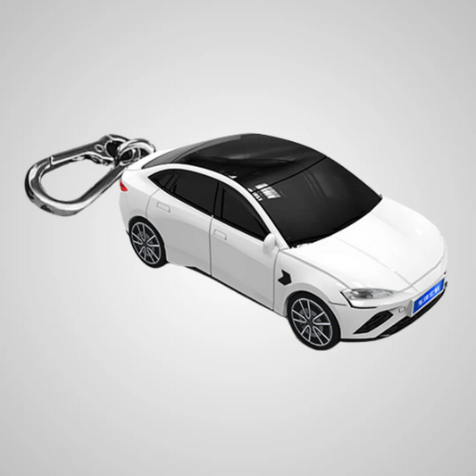 BGK Compatible con BYD Seal (BYD-3)