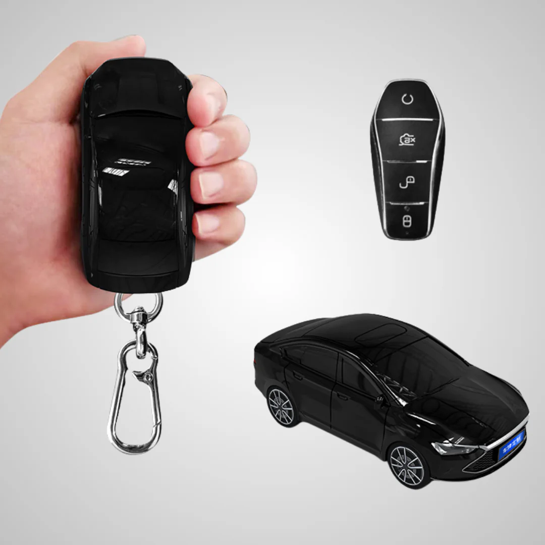 BGK Compatible con BYD Qin PLUS (BYD-2)