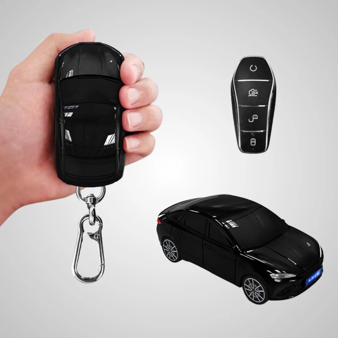 BGK Compatible con BYD Seal (BYD-3)