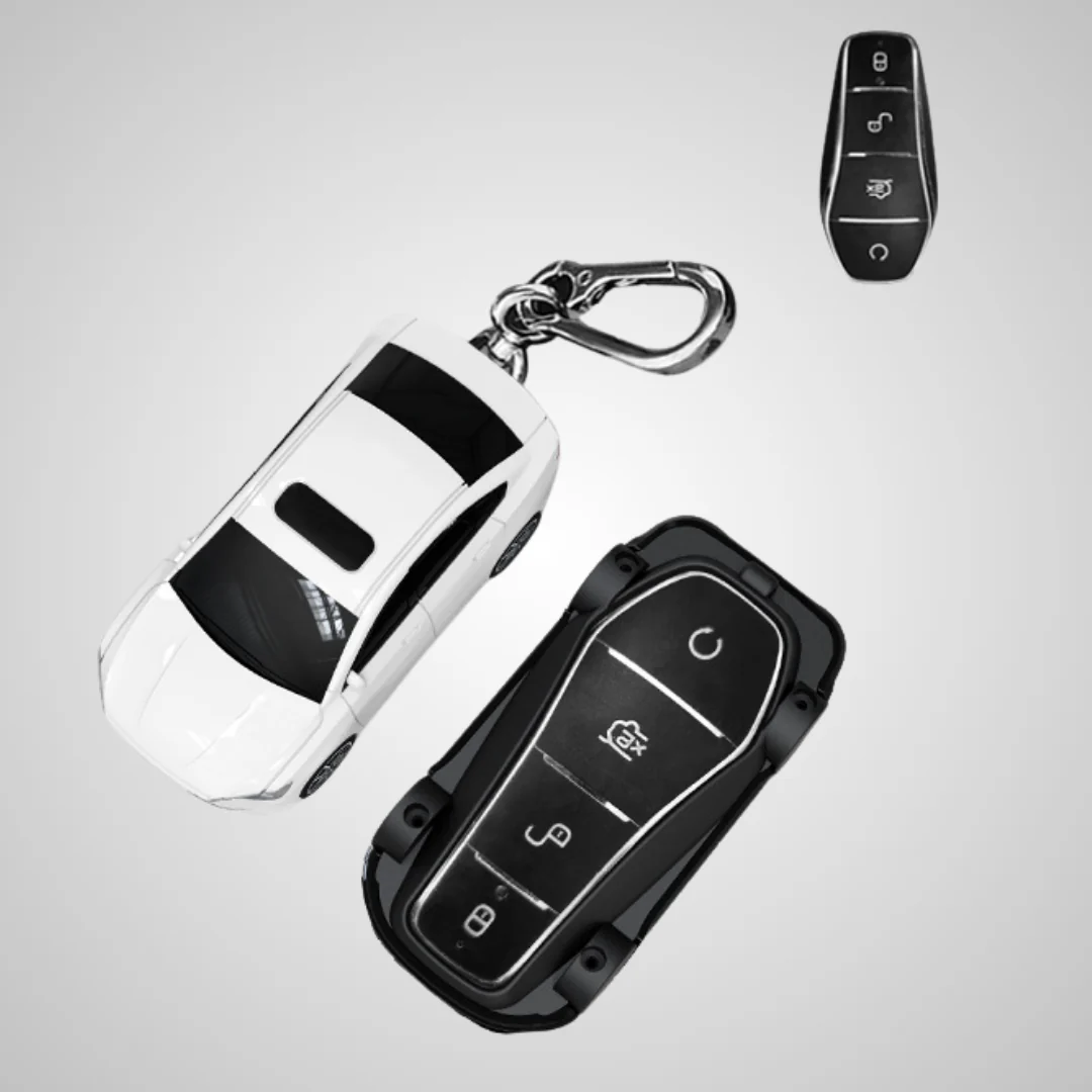BGK Compatible con BYD Qin PLUS (BYD-2)