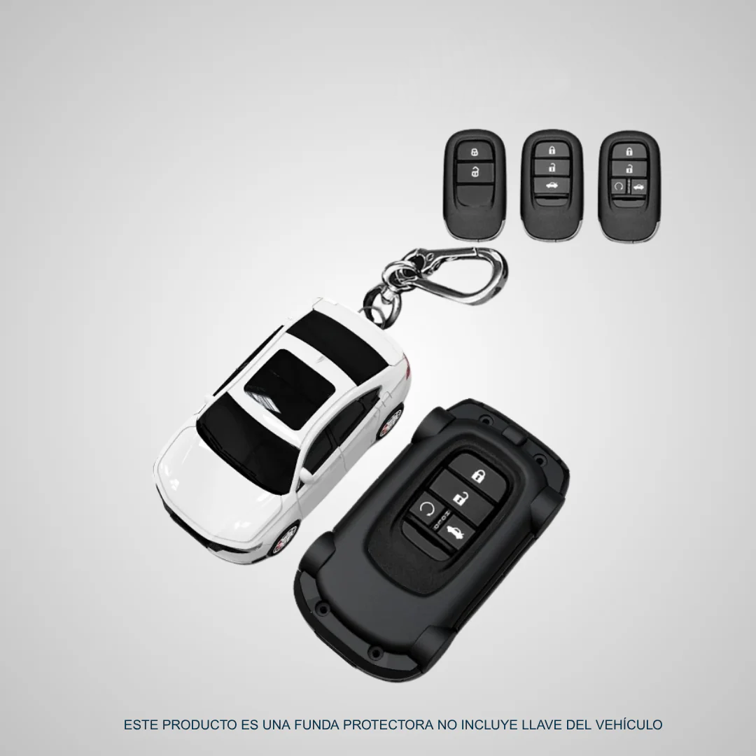 BGK Compatible con Honda Accord 11 (BT-24)